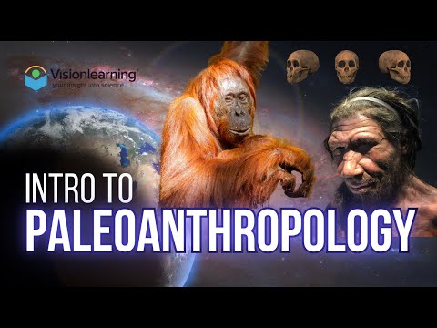 Introduction to Paleoanthropology
