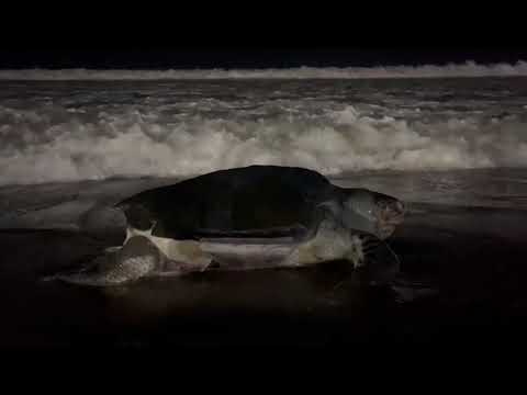 onk ratri r hotat kore Sea Beach e dekhte pelam.....