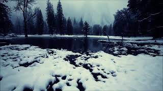 Come Home For The Winter Andy Gibb
