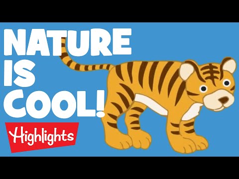 NATURE | Laugh, Learn and Play | 2020 Compilation | Highlights Kids