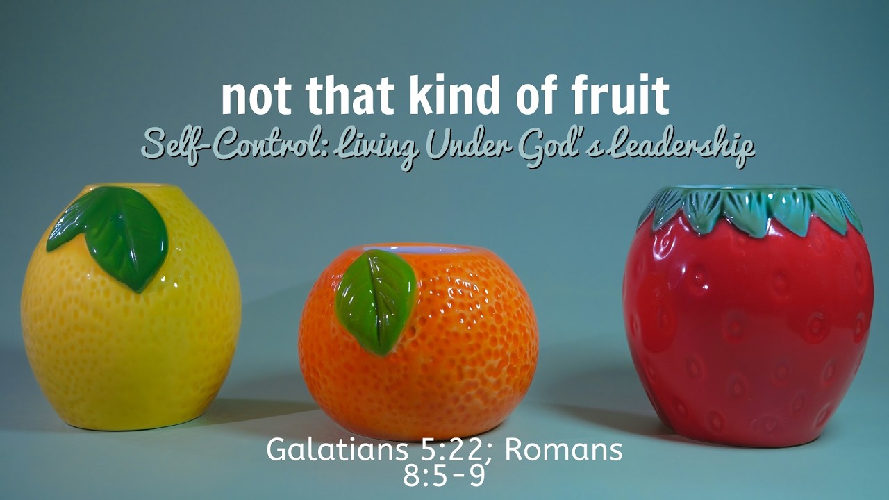 02-08-2026 - 10:00AM