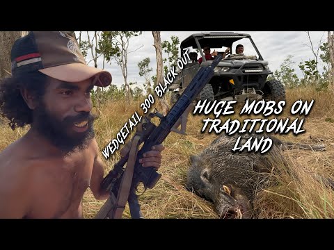 Hunting New ground - Huge Mobs, Solid Boars.