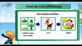 สื่อการเรียนการสอน สมดุลของระบบนิเวศม.3วิทยาศาสตร์