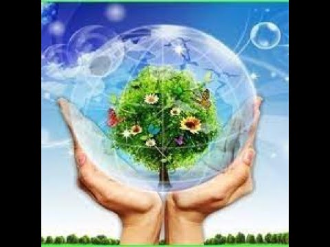 #72 BẢO VỆ MÔI TRƯỜNG LÀ MỘT TRONG NHỮNG ĐỨC TIN CỦA ISLAM