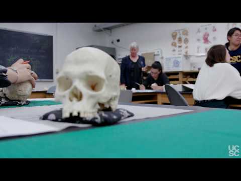 Anth 103 Uiuc