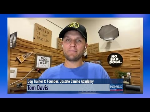 Interview With Tom Davis, Dog Trainer, Upstate Canine Academy