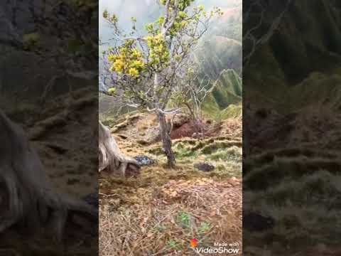 Very beautiful location #beutiful