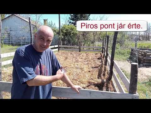 Mélymulcs 5. - Fejlődnek a növények? . . . vagy csak erőlködnek? - és újra kell vetnem.