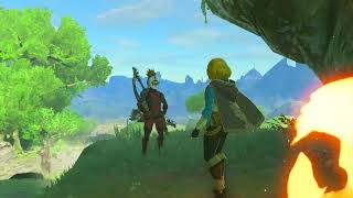 What if you talk to Zelda wearing the Yiga armor..?