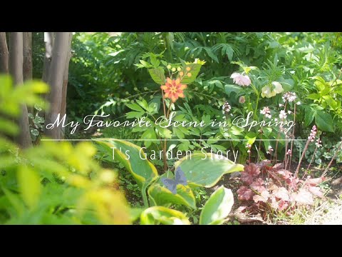 jardin-papillons-oeuillet-poète-flerus-rouges