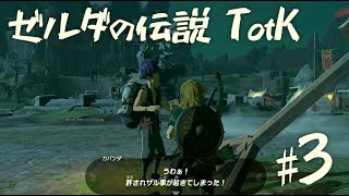 【ゼルダの伝説 ティアーズオブザキングダム】看板は倒れる　【３】