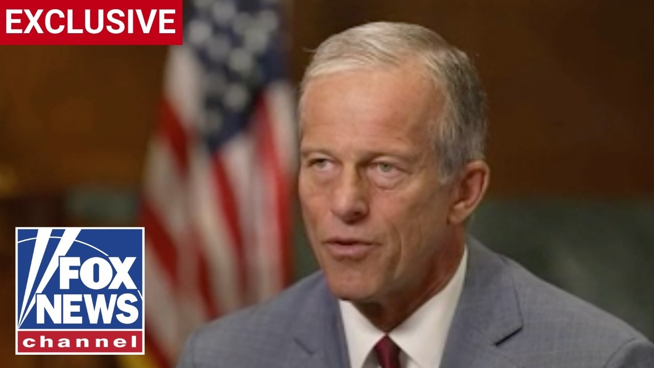 Sen John Thune: Democrats are the party of ‘no’