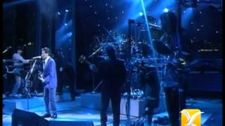 Los Temerarios, Sólo Te Quiero a Ti, Festival de Viña 1993