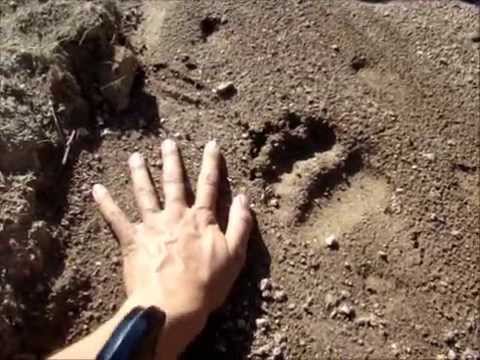 Смотреть видео Смотреть видео