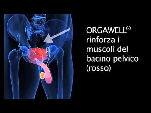 Impotenza e trattamenti causa Come ingrandire le immagini del pene