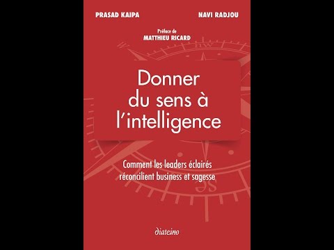 FR Des Big Data au Big Quali avec Daniel Bô — Dunod