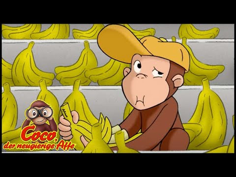 Coco der Neugierige Affe | George bekommt einen Job | Cartoons für Kinder