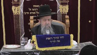 הרב בן ציון מוצפי • בית הכנסת סודאי שידור חי