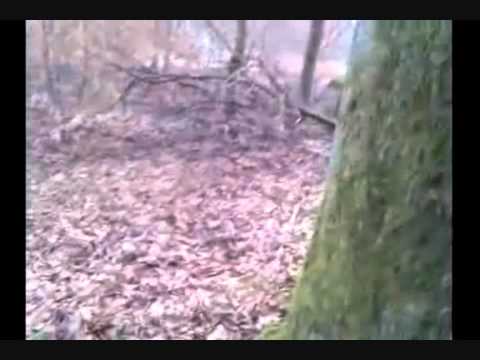 Mit Deo auf einen Baum sprühen und anzüden? Einfach genial !