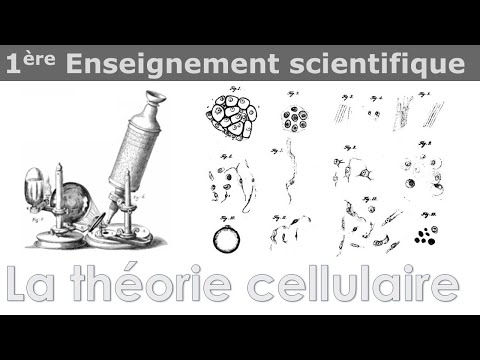 Cells and the History of Cell Theory - Science Education - 1st Year