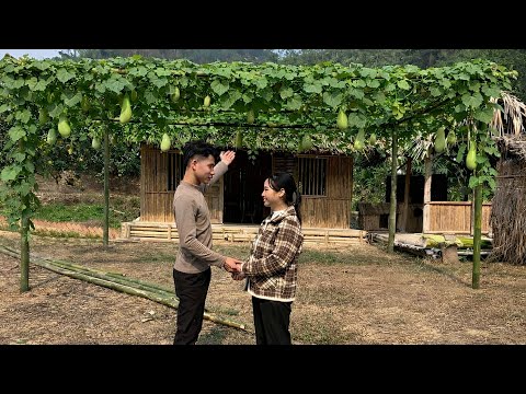 To Repay Lina for Saving Tu Mai, CEO John Does Something No One Expected