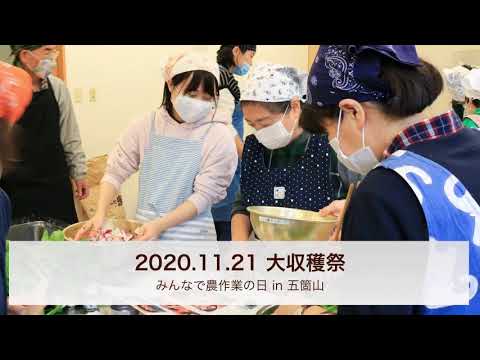 富山県南砺市で世界遺産・五箇山の秋の実りを堪能！