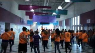 Avondale Senior Lip Dub Time of our Life 2011