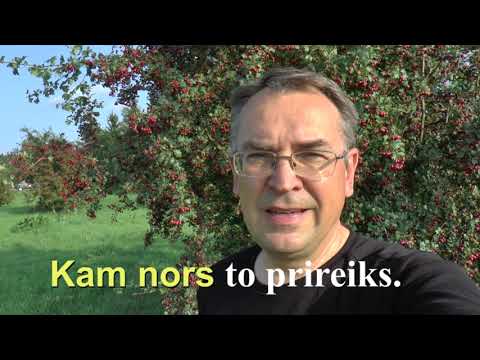LITHUANIAN LESSON 124 - EVEN IF - Nors