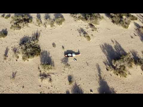 Jopez - j [Official Visualizer]