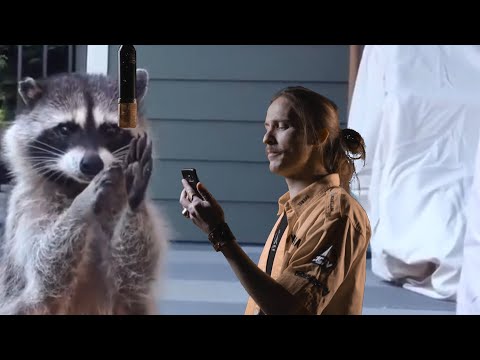 Feno #hot16challenge2