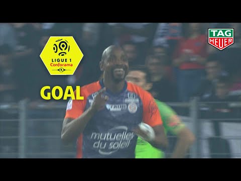 Goal Souleymane CAMARA (85') / Montpellier Hérault SC - Paris Saint-Germain 3-2 MHSC-PARIS / 2018-19