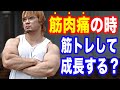 【筋トレ】筋肉痛の時でも筋トレした方が良いのか?を解説します!