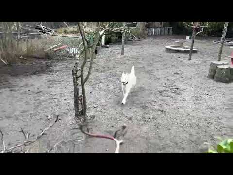 Gnar, Benny Baldasso & Iris (2)