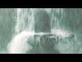 Rudrabhishek Rudrashivastotram Rudra Shiva Stotram Shiva Linga Abhishekam Whatsapp Status
