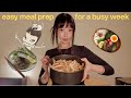 ASIAN MEAL PREP IDEAS Healthy High Protein Affordable Recipes For A Busy Gworl Living Alone