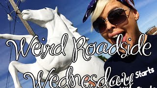 The Most Odd Antique Shop In The West