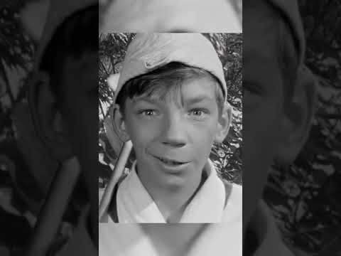 А что это вы тут делаете фото. Фото кота под кайфом. Что это вы тут с собой делаете. Что это вы тут с собой делаете. А шо вы тут делаете.