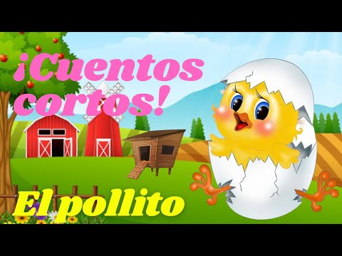 EL CUENTO DEL POLLITO  / cuento corto infantil / cuento  con valores