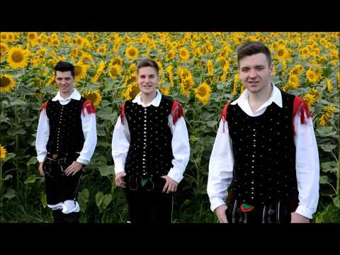 Ansambel Zadetek _ TUJI KRAJI (napovednik)