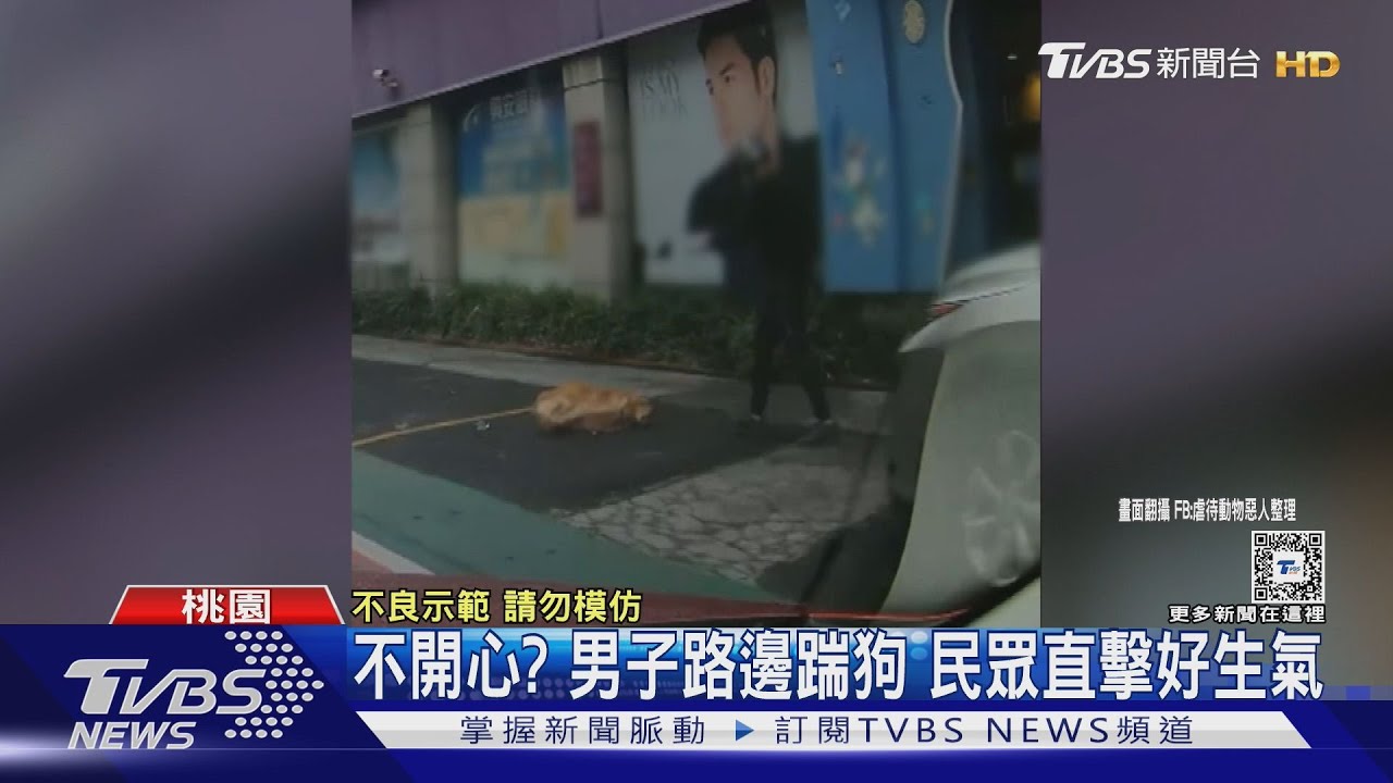 不開心?男子路邊踹狗 民眾直擊好生氣