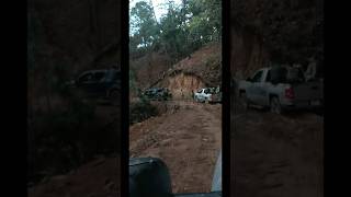 EL FANTASMA Y GRUPO LABERINTO el gato