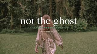 The Crane Wives - Not the Ghost (Lyrics)