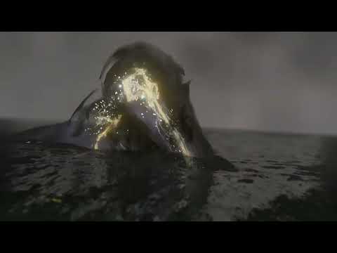 Radagon and Elden Beast encounter