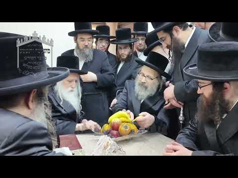 Viznitz London Rebbe Visits Machnovka Rebbe