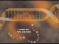 The Effects Of Radiation On Our Health
