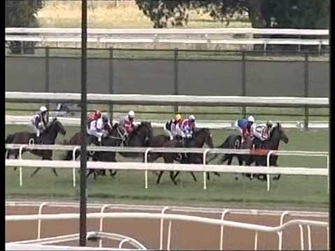 23/01/2015 - Race 3 - Parkland Htl & Apartments (C2) - Fell Swoop