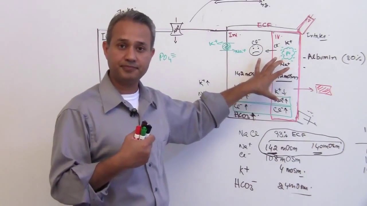 Measurement of the Composition of Body Fluids - YouTube
