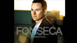 ALMA DE HIERRO (FONSECA) LETRA