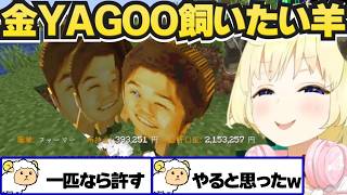 金YAGOOを家族に迎えたいわため【角巻わため/ホロ金策サバイバル2/ホロライブ切り抜き】