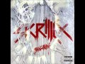 Breakin A Sweat - Skrillex 